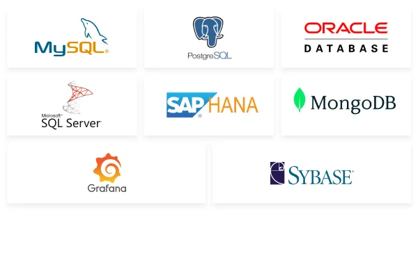 Logos of MysSQL, Postgre SQL, Oracle Database, MS SQL Server, SAP Hana, Mongo DB, Grafana, Sybase databases