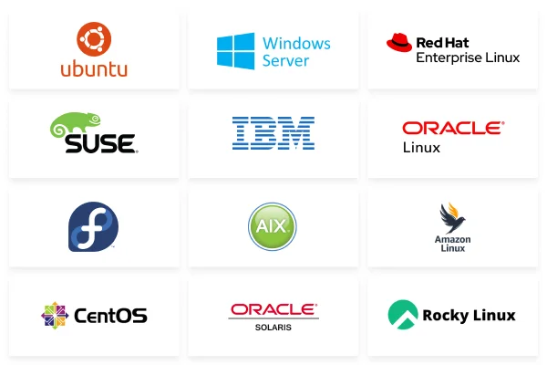 Logos of Ubuntu, Wndows Server, Red Hat, Suse, IBM, Oracle, AIX, Amazon Linux, Cent OS, Oracale Solaris, Rocky Linux